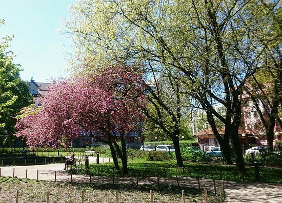 Park im. Józefa Polińskiego w Warszawie